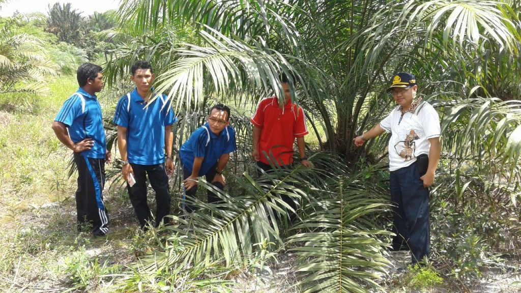 IMG-20180304-WA0004 IMG 20180304 WA0004