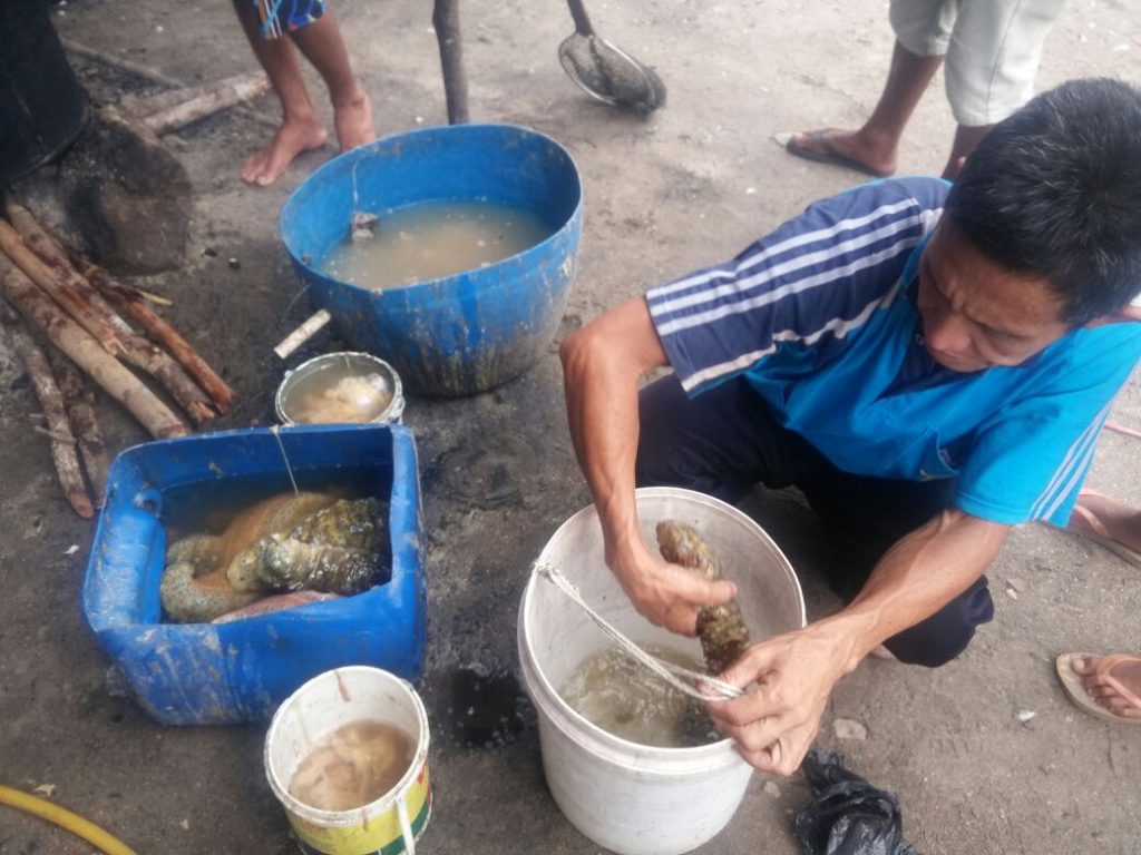 IMG-20180521-WA0007 IMG 20180521 WA0007