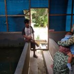 Penyuluh Perikanan Bantu Kunjungi Kelompok UPR Air Jelutung, Di Badau