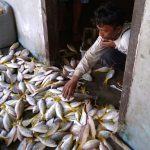 PPB Kawal Pemanfaatan Bantuan Pemerintah Armada Nelayan 5 GT