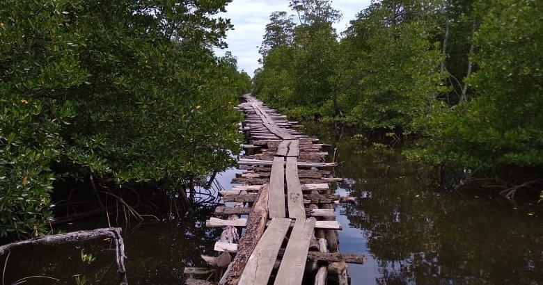 1542524775893 1542524775893