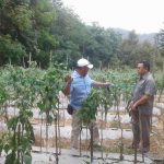 Persiapan Penilaian BBGRM, DPPKBPMD Tinjau Gapoktan Di Aik Batu Buding