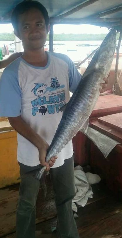 Hasil Tangkapan Cumi & Tenggiri Hampir Seton Koperasi PKP 4 IMG 20191109 WA0002