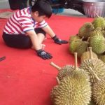 Begawai Geo Durian Menjadi Daya Tarik Wisatawan Mampir Ke Pulau Belitong
