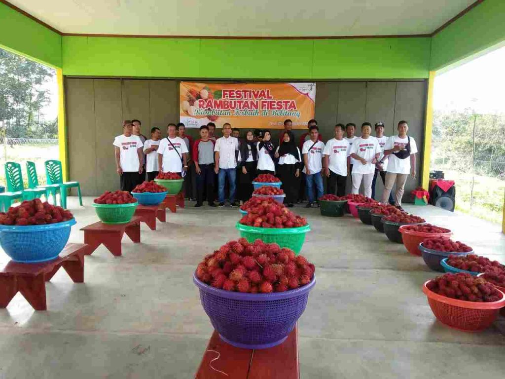 Bupati Belitung Resmi Buka Festival Rambutan Fiesta Desa Ibul 2020 4 IMG 20200125 WA0011