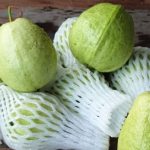 Pingin Cari Jambu Susu Mutiara-Belitung, Ada di Toko Eceran Tanjungpandan