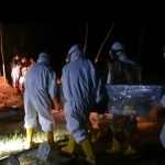 Terkait Karena Covid-19, Standar Pemakaman Jenazah Sesuai SOP