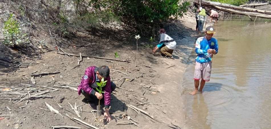 1591524131435 1591524131435