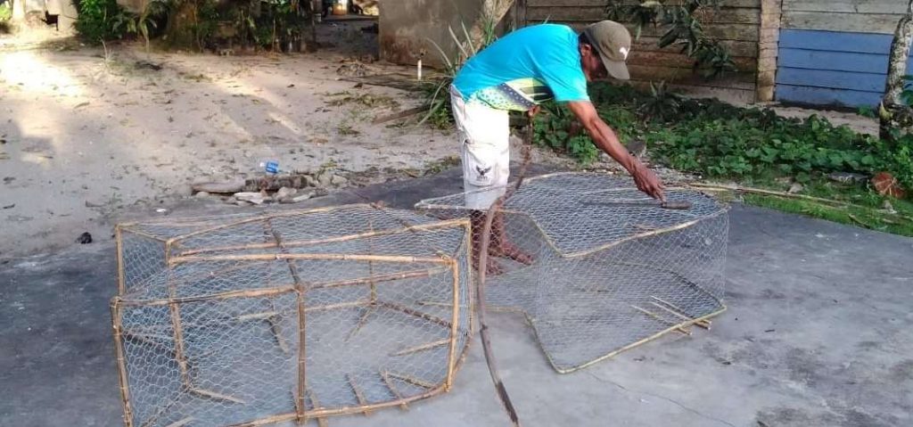 1592976485841 1592976485841 1