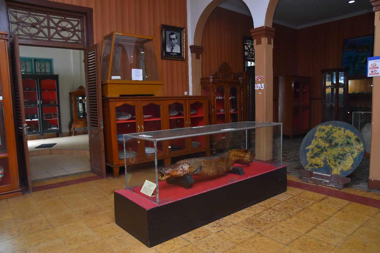 IMG-20200620-WA0014 IMG 20200620 WA0014