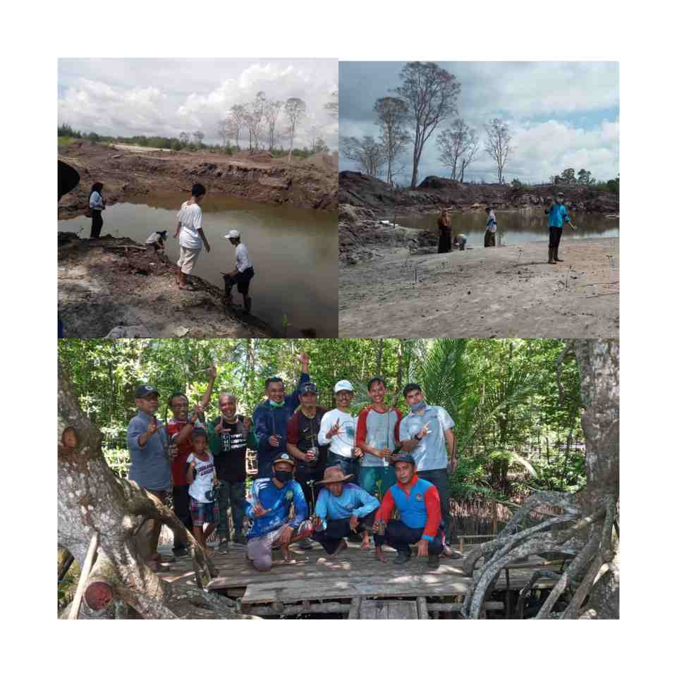 Komunitas Akar Bakau & Komponen Masyarakat Lainnya Tanam Bibit Mangrove 2 InShot 20200607 170040585