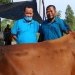 Bagi ke Warga Tak Mampu, Partai Gelora Kab.Belitung Potong Hewan Kurban