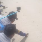 Bupati Belitung Lakukan Pelepasliaran Tukik di Pantai Tanjung Kelayang