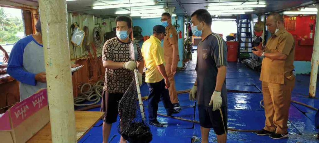 Ikan Kerapu di Ekspor Keluar Negeri Sebanyak 10 ton 4 IMG 20201012 WA0008