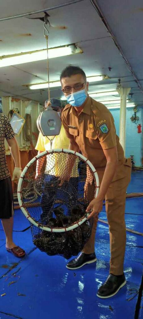 Ikan Kerapu di Ekspor Keluar Negeri Sebanyak 10 ton 3 IMG 20201012 WA0009