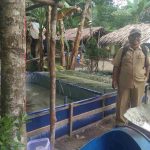Dinas Perikanan & Penyuluh Kunjungi Budidaya Ikan Lele di Petaling