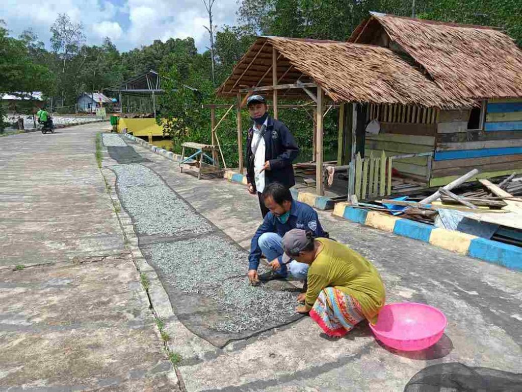 IMG 20201104 WA0009
