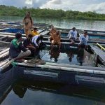 Dinas Perikanan Gelar Sekolah Lapang & Serahkan Bantuan Benih/Pakan Kerapu