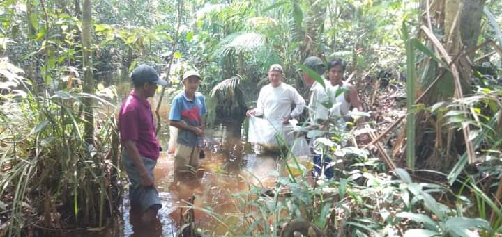 IMG-20201113-WA0000 IMG 20201113 WA0000