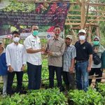 BPDASHL Baturusa Cerucuk Bantu Bibit Kopi pada Kelompok Tani Kelapa Kampit