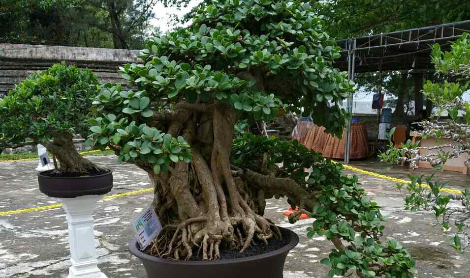 20201231_183833 20201231 183833