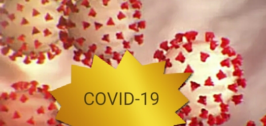 IMG-20201201-WA0005 IMG 20201201 WA0005