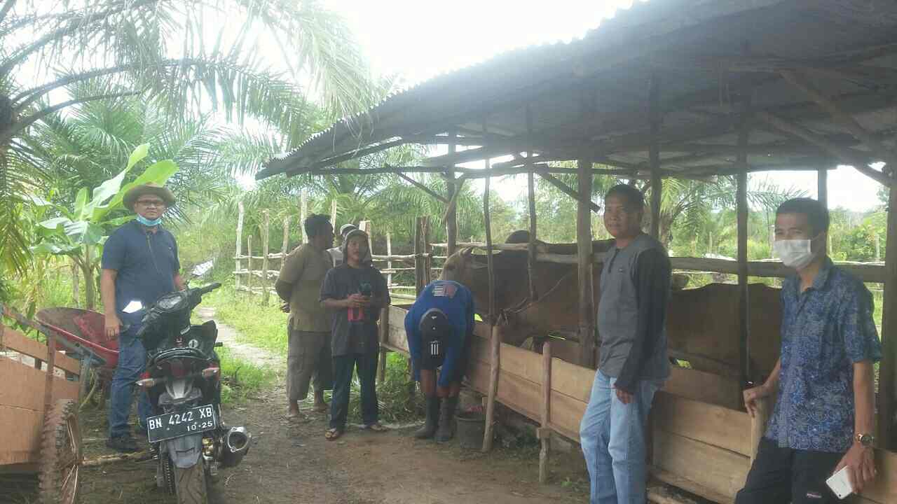 IMG_20201202_161842 IMG 20201202 161842