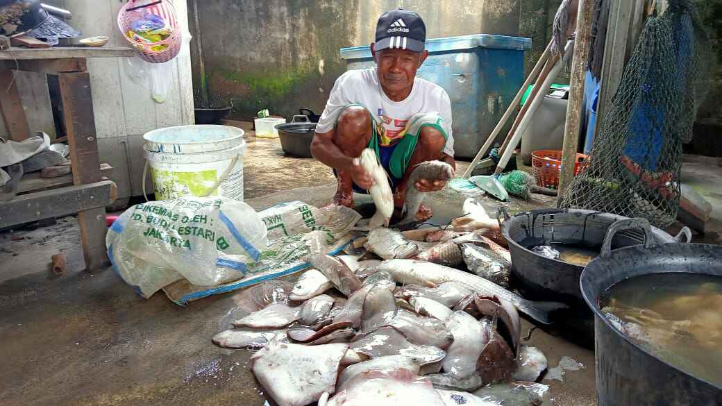 IMG-20210103-WA0068 IMG 20210103 WA0068