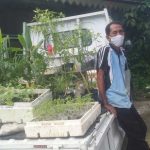Minat Bibit Tanaman Holtikultura, Yudi Atmaja Siap Terima Pemesanan