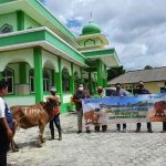 Masjid Arrahman Desa Badau Terima Bantuan Hewan Qurban dari PT Timah Tbk