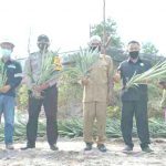 PT Timah Tbk Salurkan Bantuan CSR ke Kelompok Tani Nanas Aik Jelutung