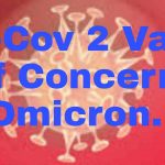 Di Belitung, 8 Warga Terdeteksi Positif Varian Omicron