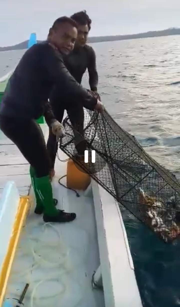 Catat buat Nelayan Belitung, Bubu Lipat Ikan Ternyata Raih Tangkapan Ikan Memuaskan 2 IMG-20220730-WA0132