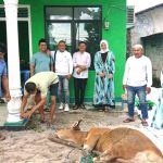 Dihadiri Amelia & Hellyana, PPP Belitung Lakukan Pemotongan & Pembagian Daging Kurban kepada Warga Tak Mampu