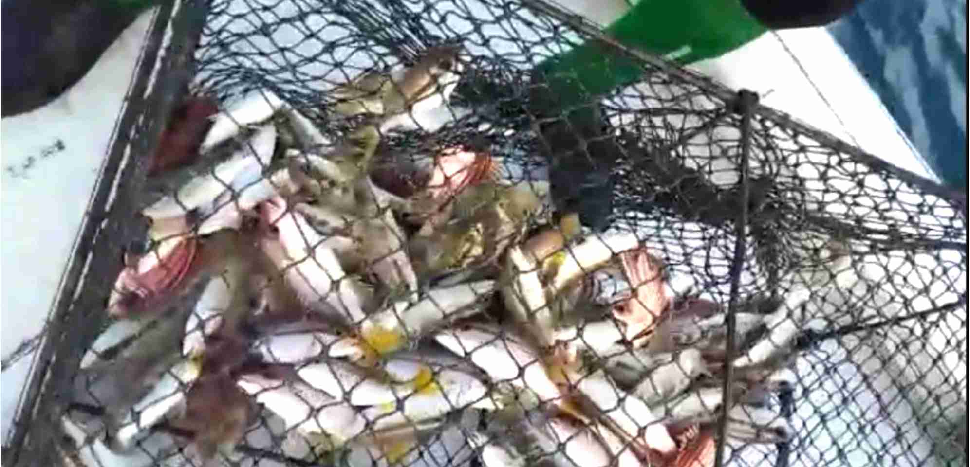 IMG_20220730_112308 IMG 20220730 112308