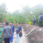 Di Desa Petaling, Dinas Perikanan Survei Untuk Lokasi Budidaya Kepiting Bakau