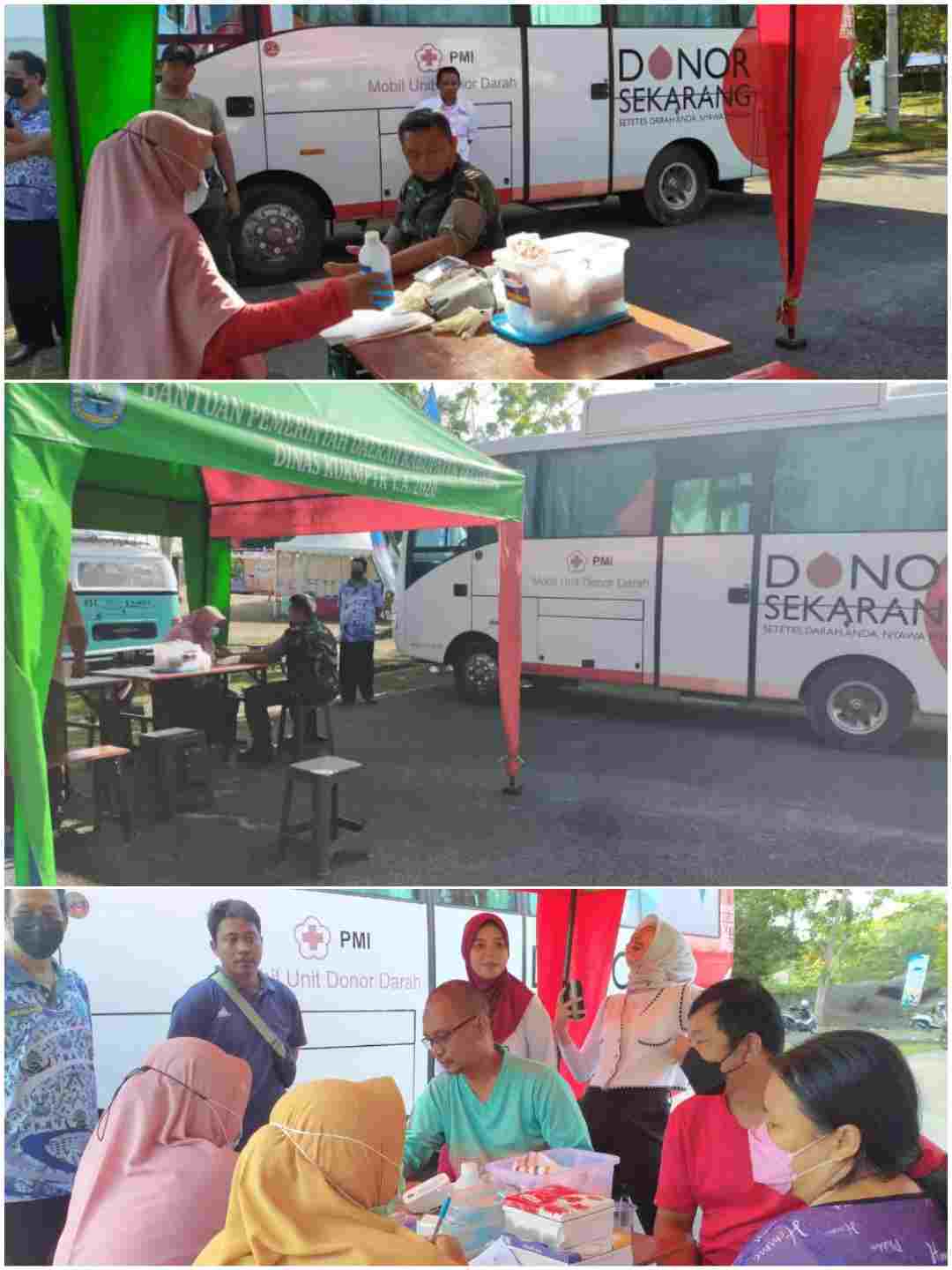 IMG_20220812_091637 (1)