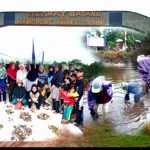 Semarakkan HUT Kemerdekaan Ri ke-77, 25 Peserta Ikuti Lomba Nimong di kawasan Wisata Mangrove Kuale Sijuk