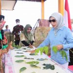 Penasaran Ada Apa Di Kampung Nelayan Maju, Dharma Wanita Persatuan Kementerian Kelautan dan Perikanan RI Kunjungi Suak Gual