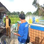 Selain Nelayan Usaha Di Kampung Nelayan Maju, Kadis Perikanan Belitung Tinjau Usaha Kelompok Budidaya Udang dan Benih Udang Vanamie “Muda Mandiri” di Suak Gual