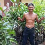 Ditanam di Rumah Warga Depan Jalan Protokol, Desa Buluhtumbang Terima 500 batang bibit dari Dinas Pertanian dan Ketahanan Pangan Belitung,