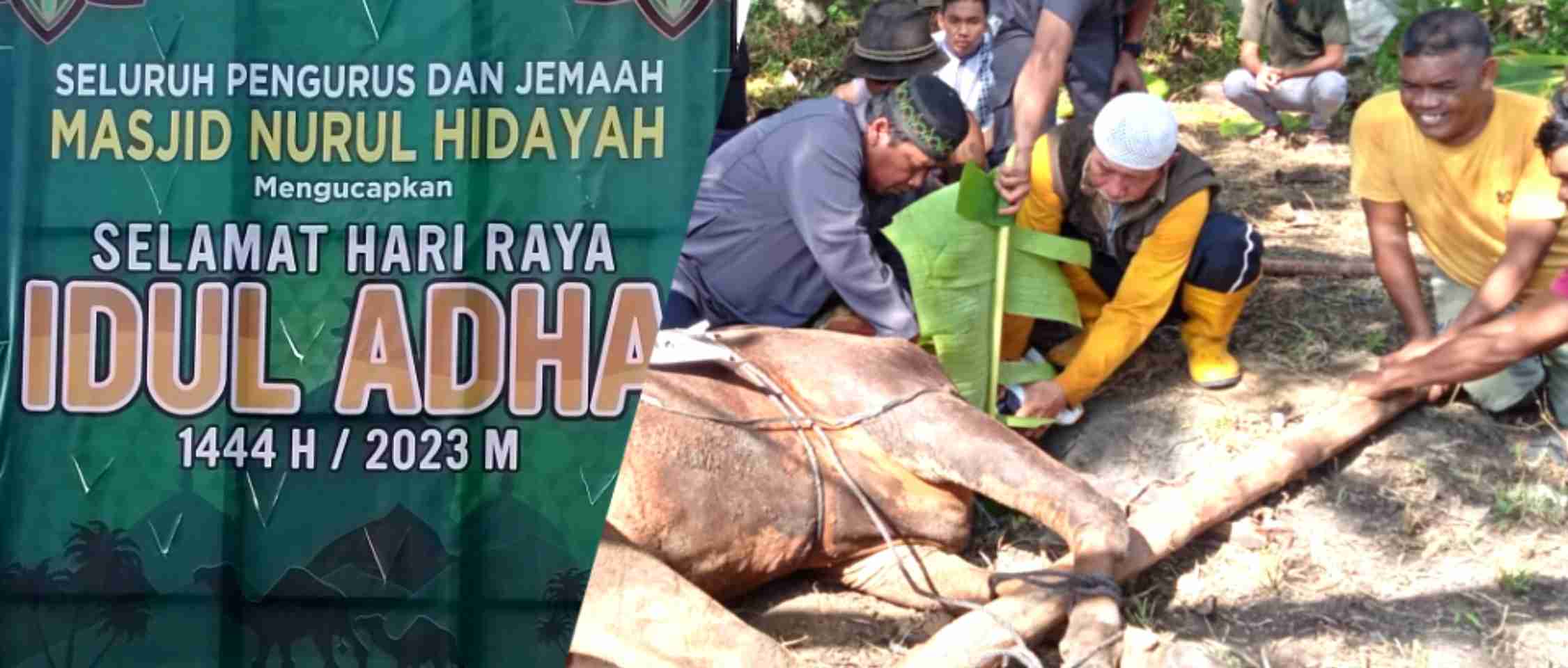 IMG_20230629_093900 IMG 20230629 093900