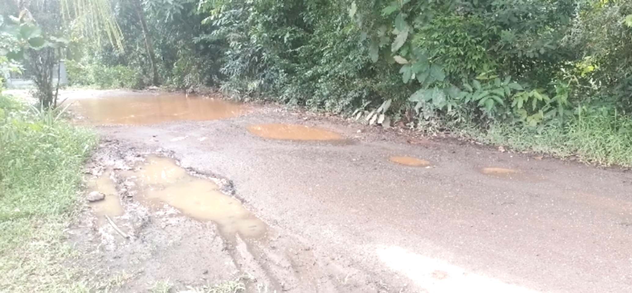 IMG_20231225_151924 IMG 20231225 151924