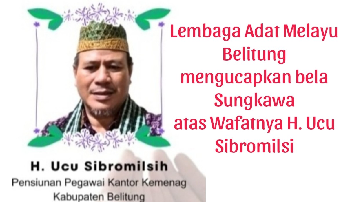 IMG_20240215_195408 IMG 20240215 195408