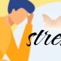 Cara Mengatasi Rasa Tidak Nyaman Akibat Stress