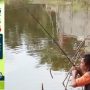 Ikuti Lomba Mancing Seru di Taman Wisata Pulau Kolong!, di Desa Air Selumar pada Minggu 14 April 2024