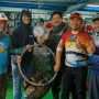 Ekspor Ikan Kerapu Tanjungpandan Capai 26 Ton, Tujuan Hongkong