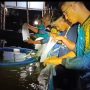 PLN Peduli Lanjutkan Penebaran Benur Udang Vaname di Desa Tanjung Rusa, Membalong