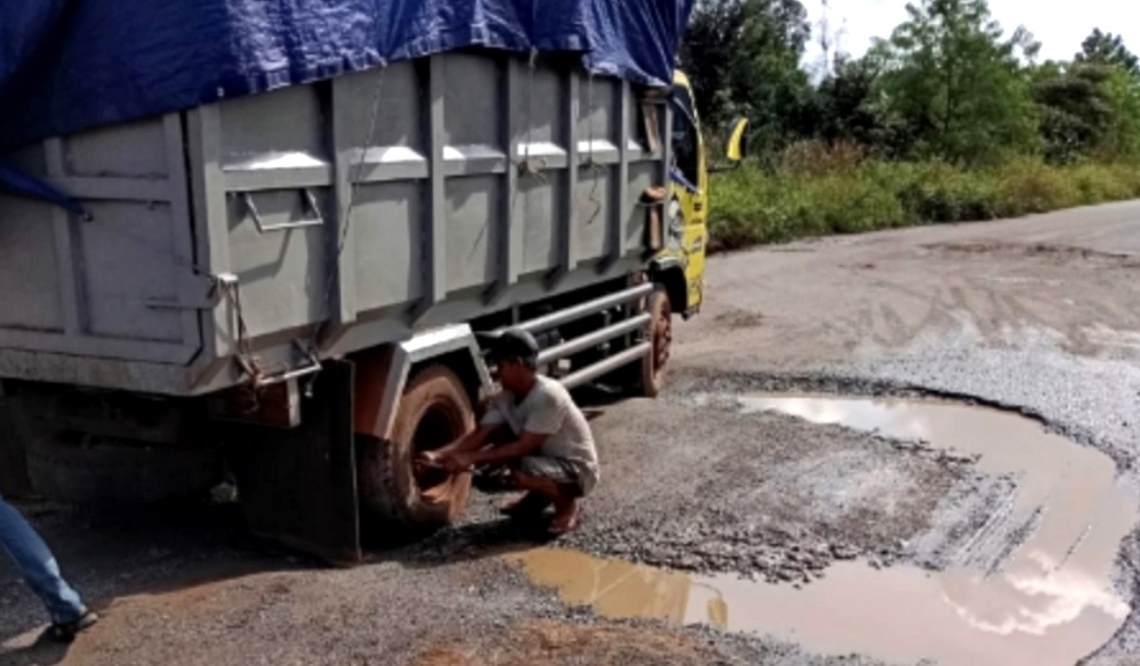 IMG_20240603_083859 IMG 20240603 083859