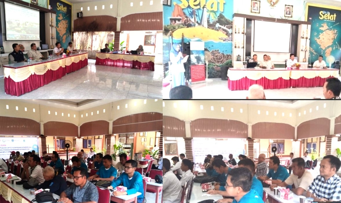 IMG_20241009_121123 IMG 20241009 121123